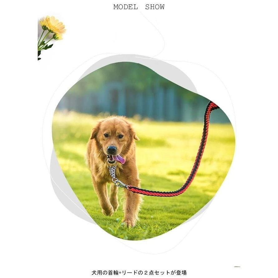 送 料 無 料!犬用 首輪 リード 2点セット 牽引ロープ ペット用品 大型犬 中型犬 牽引縄 セットアップ お洒落 ドッグウェア ハーネス 切り替え