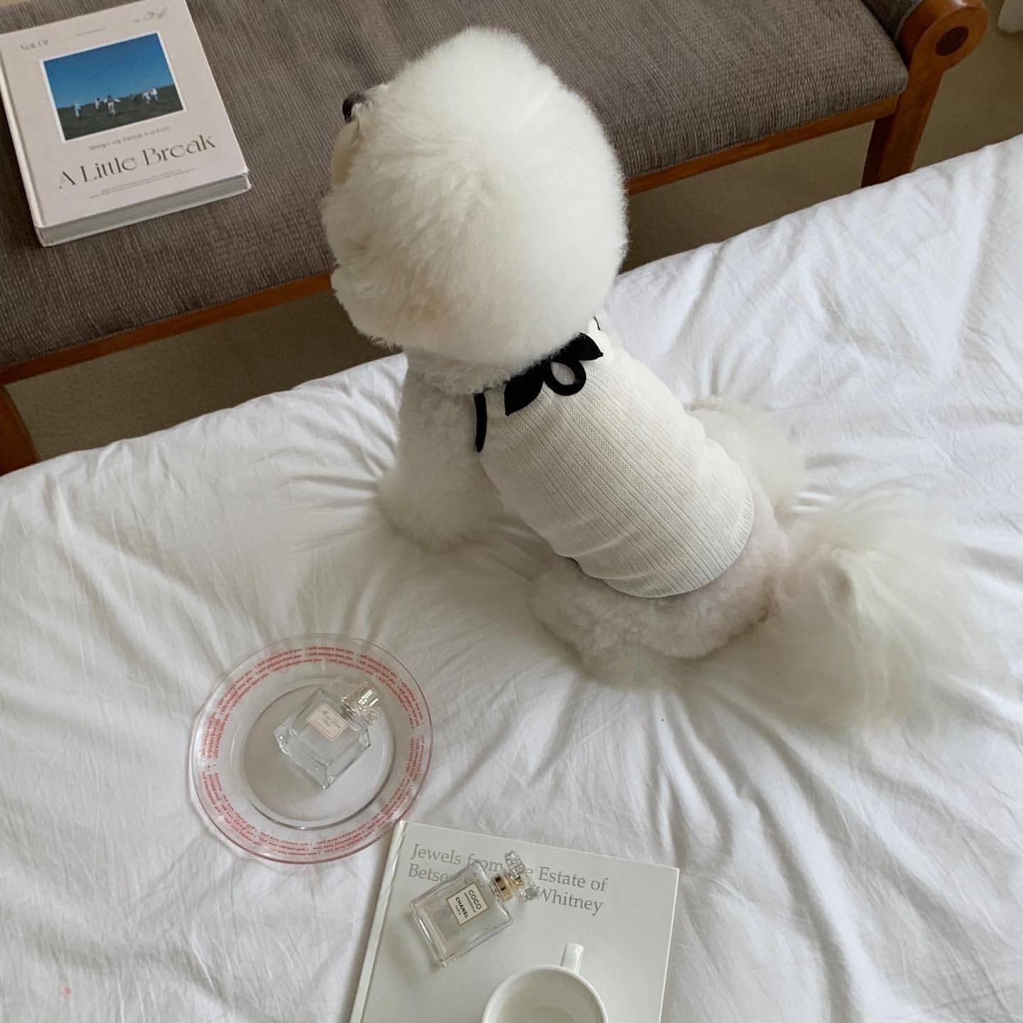 春夏新作 犬服 ペット服 犬 洋服 ペット 犬用品 小中型犬 春夏薄手犬服猫小型犬キャミソールベスト