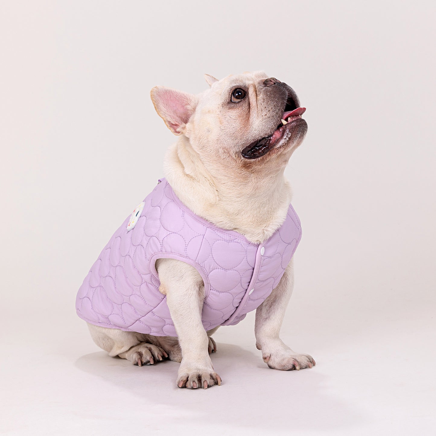 人気ペット服 犬の服 ペットの服 秋冬 ブルドッグモデル ブルドッグ 4色 コットンベスト
