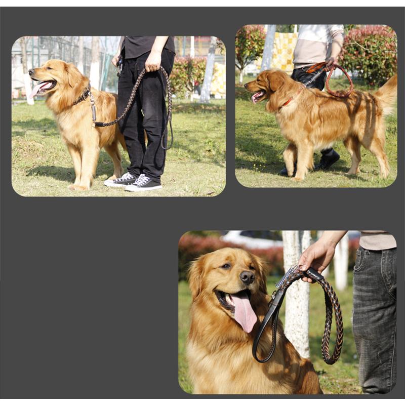 犬用 首輪 リード 大型犬 中型犬 ペットリード 革 レザー メタル スプリング付き 衝撃緩和 錆に強い 丈夫 頑丈 ちょっぴり かっこいい