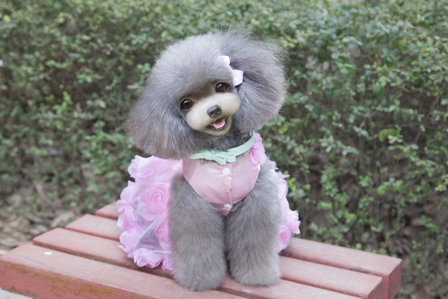 猫 犬 洋服 犬服 ペット服 大中小型犬 ペット用品 犬/猫用 犬の服 ペットウエア 小型犬 中型犬 通気 可愛い ドッグウェア トレーナー 犬 服 ワンピース サロペット ビションフリーゼ 犬猫服