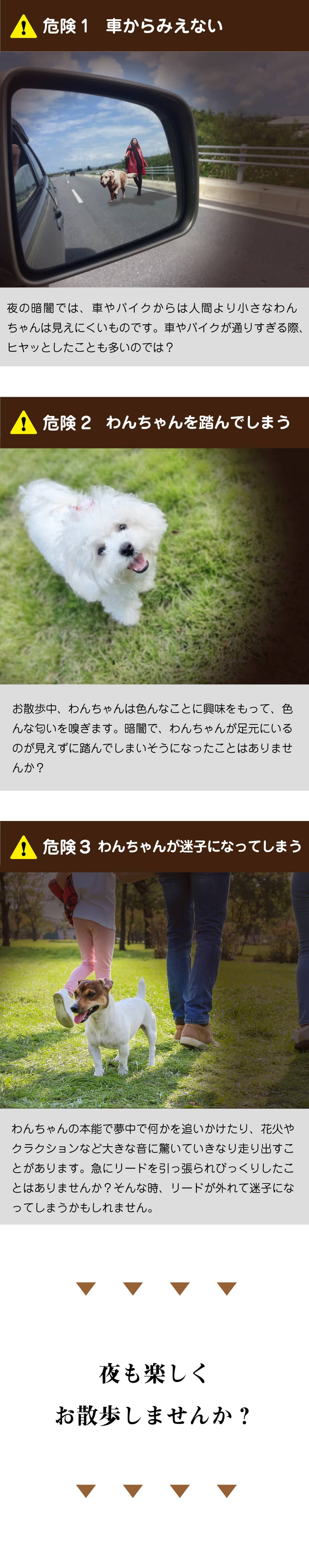 中型 猫 首輪 小型 ペット 大型 LED 充電式 光る 犬 ライト カラー