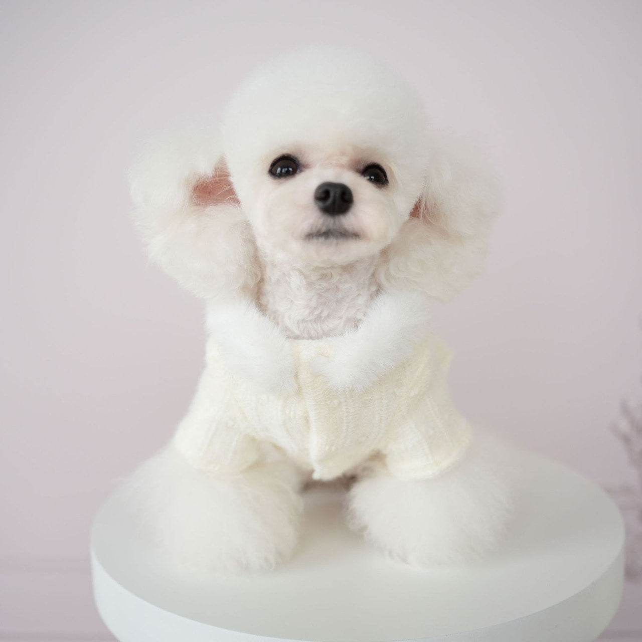 犬服ペット猫服かわいいソフトウールふくらませドレス快適ソフトもちもち冬居心地の良い暖かい服