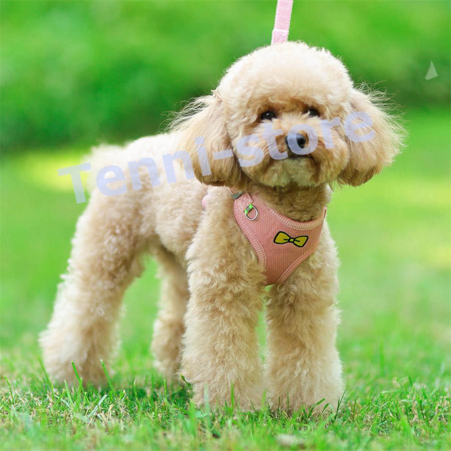 今週の新製品 タイムセール 犬 猫 ハーネス 小型犬 中型犬 猫用 ネコ 柔らかい 軽量 可愛いリボン刺繍ウェアハーネス ハーネス&リードセット 犬ハーネス 抜けない 一体型 在庫が限られている在庫が