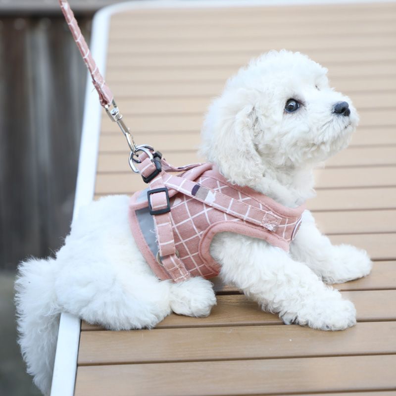 背心式犬牽引紐テディ比熊小型犬胸背ドッグラン子犬チェーンペット用品