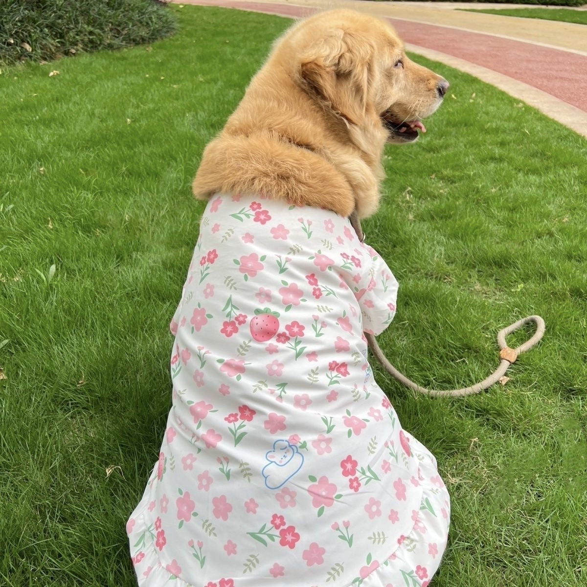 【新作犬猫服 登場】 犬服 ペット服 犬 洋服 春夏大型犬ペットベスト中型犬大型犬服