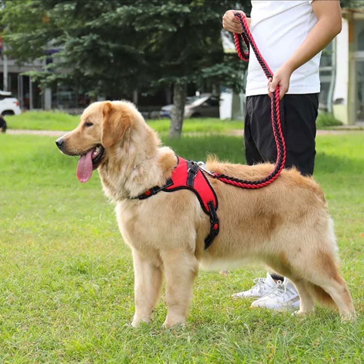 全10色×3点セット!犬 ハーネス ペットハーネス 中型犬 大型犬 ハーネスリードセット ウェアハーネス 犬用 脱出防止 首輪 ナイロン 調整可能 光反射 夜安全 通気