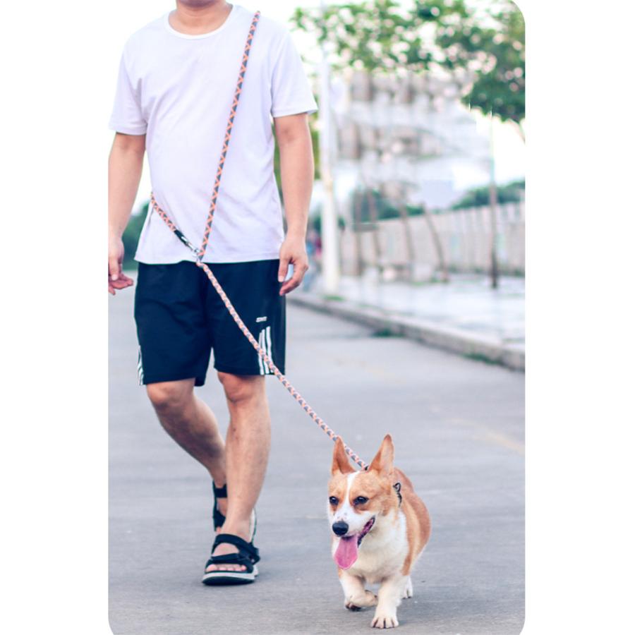 犬 リード 2.6m ショルダーリード 肩掛けリード 2頭引き リード ロングリード 反射機能 小型犬 中型犬 散歩 コンパクト 長い 多頭飼い