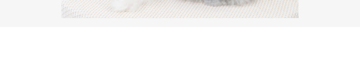 猫 犬 洋服 犬服 ペット服 大中小型犬 ペット用品 犬/猫用 犬の服 ペットウエア 小型犬 中型犬 通気 可愛い ドッグウェア トレーナー 犬 服 ワンピース サロペット ビションフリーゼ 犬猫服