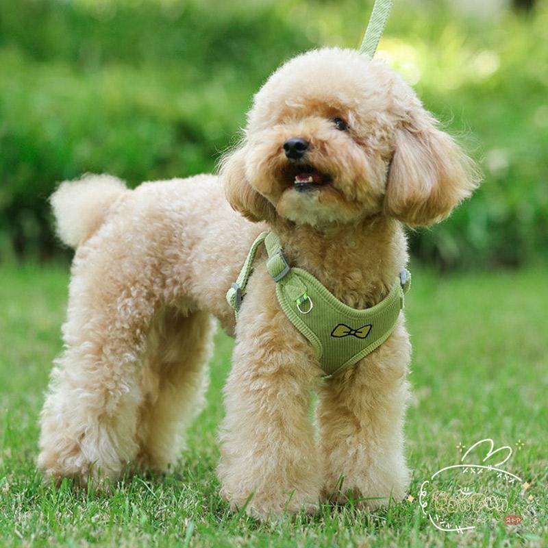 値下げ済み 3日以内に出荷 犬 ハーネスリードセット おしゃれな 中型犬小型犬散歩グッズ 簡単装着 苦しくない 脱げない 首輪 4カラー 2枚購入で150円OFF