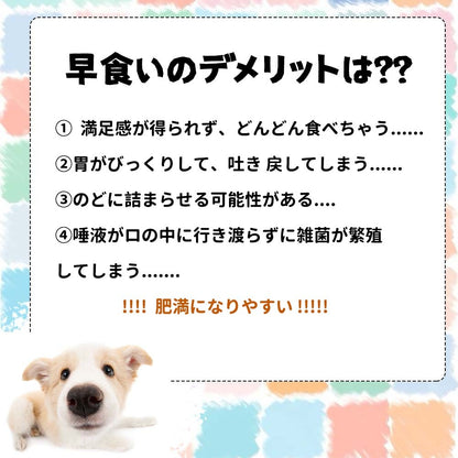 3日で出荷 2個セット 早食い防止 猫犬通用 ペット用 スローフィーダー ダイエット 食べ過ぎ スローフードペット 餌入れ 厚く お皿 餌入れ エサ入れ フードボウル ペットボウル フード おしゃれ