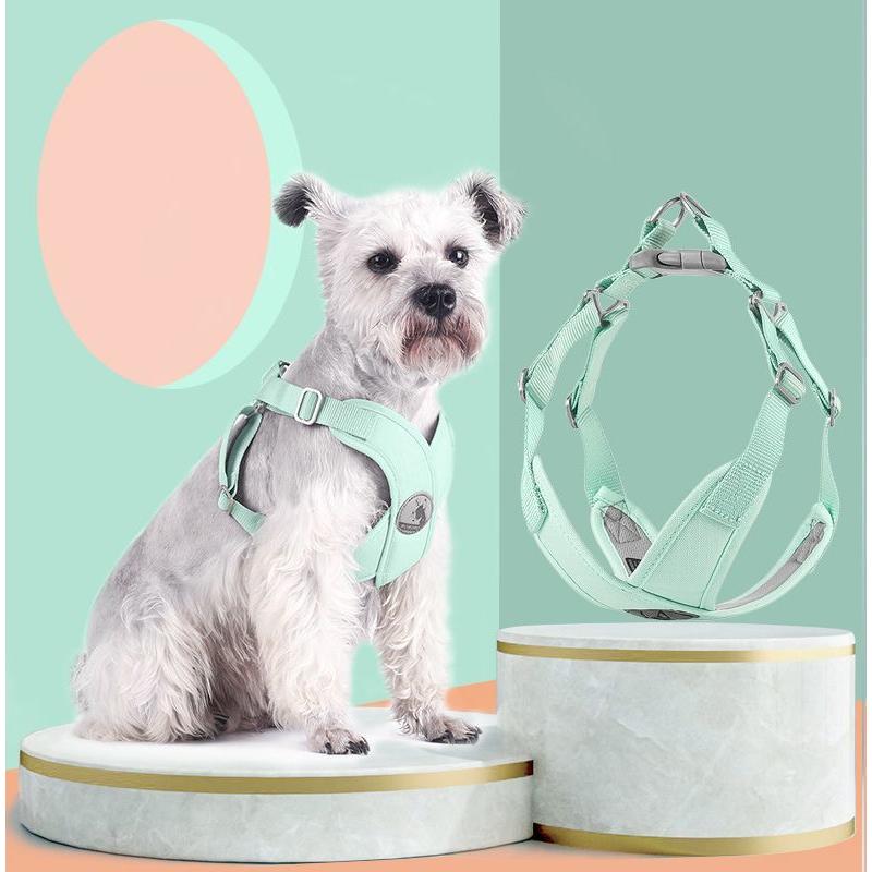 お出かけ ハーネス パステルカラー 小型犬 お散歩グッズ 単品 猫 かわいい ペット用 胴輪 おしゃれ バックル 中型犬 ドッグ 犬 キャット 動物