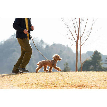 【人気商品】EZ リード ソフトトレーナーライト 120cm EZYDOG