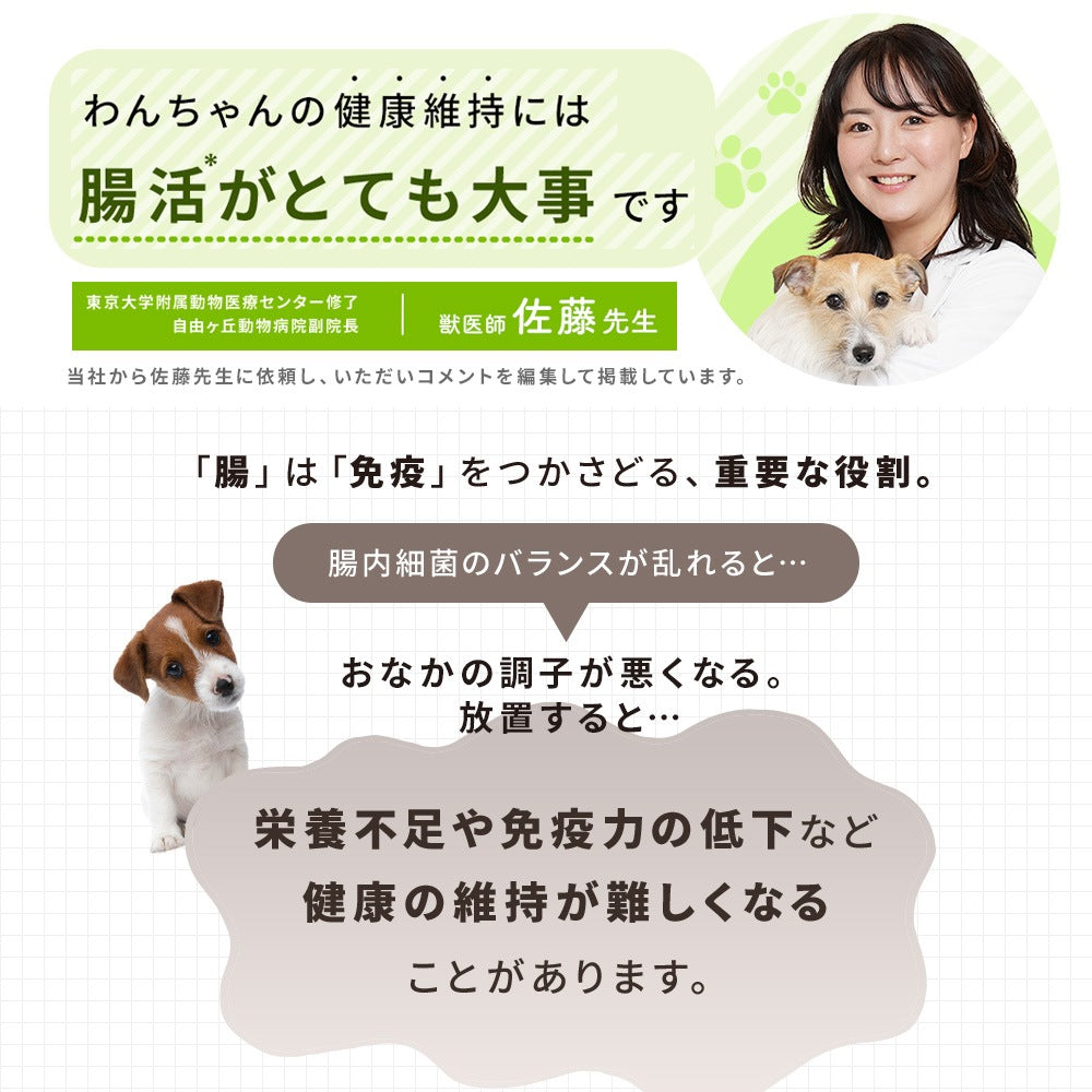 <a href="https://www.qoo10.jp/gmkt.inc/Search/brand.aspx?brandno=62316" target="_blank" class="title_brand" id="btn_brand" title="大正製薬">大正製薬</a>【公式】大正製薬 わんビオフェルミンS 40g 犬 サプリ サプリメント 腸活 免疫力 健康維持 ビフィズス菌 乳酸菌 犬サプリ イヌ 犬用 ペット 腸活サプリ 無添加 ふりかけ 粉 腸内環境