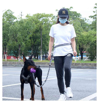 高い人気 リード 犬 ハンズフリー 腰に巻ける 肩掛け 犬リード 大型犬 中型犬 小型犬 しつけ用リード 犬と一緒にランニング/ジョギング/散歩用 ベルト ショルダー ポール留め マルチ ペット用品