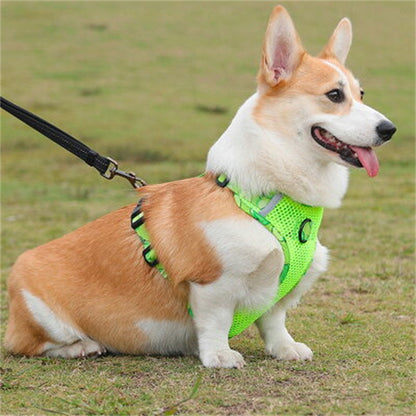 犬服 春 犬 ハーネス 小型犬 リードセット 胴輪 リボン おでかけ お散歩 ドッグウェア 可愛い おしゃれ ペットグッズ 首輪 装着しやすく優しいメッシュ素材