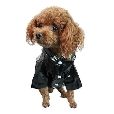 犬 レインコート レインウェア 小型犬 中型犬 子犬 ドッグウェア 夜間反射 雨具 人気沸騰 カッパ 犬服 フード付き 透明 雨の日 防水 梅雨対策 リング付き