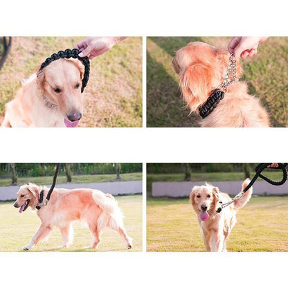 首輪 リード 2点セット 犬用 ペット用 ハーフチョーク リーシュ 1.2m 1.5m チェーン 牽引綱 シンプル お散歩 お出掛け ペット用品 ペッ