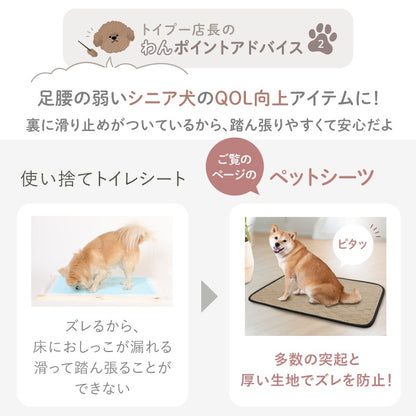<a href="https://www.qoo10.jp/gmkt.inc/Search/brand.aspx?brandno=117010" target="_blank" class="title_brand" id="btn_brand" title="LASIEM">LASIEM</a>【発送3日以内】洗える ペットシーツ 2枚セット 犬 猫 犬用 ペットマット トイレシート おしっこシート 介護 ペットマット 食事マット 防水 おしっこパッド マット 滑り止め 介護シーツ 漏れ防止