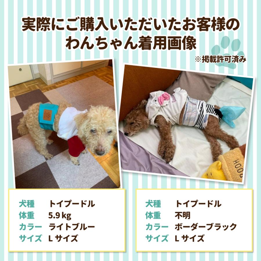 <a href="https://www.qoo10.jp/gmkt.inc/Search/brand.aspx?brandno=124379" target="_blank" class="title_brand" id="btn_brand" title="マナーウェア">マナーウェア</a>マナーベルト XL マナーパンツ おむつ サニタリーパンツ 犬用 S M オムツカバー ずれない マナーウェア L マナーバンド オス 犬 メス