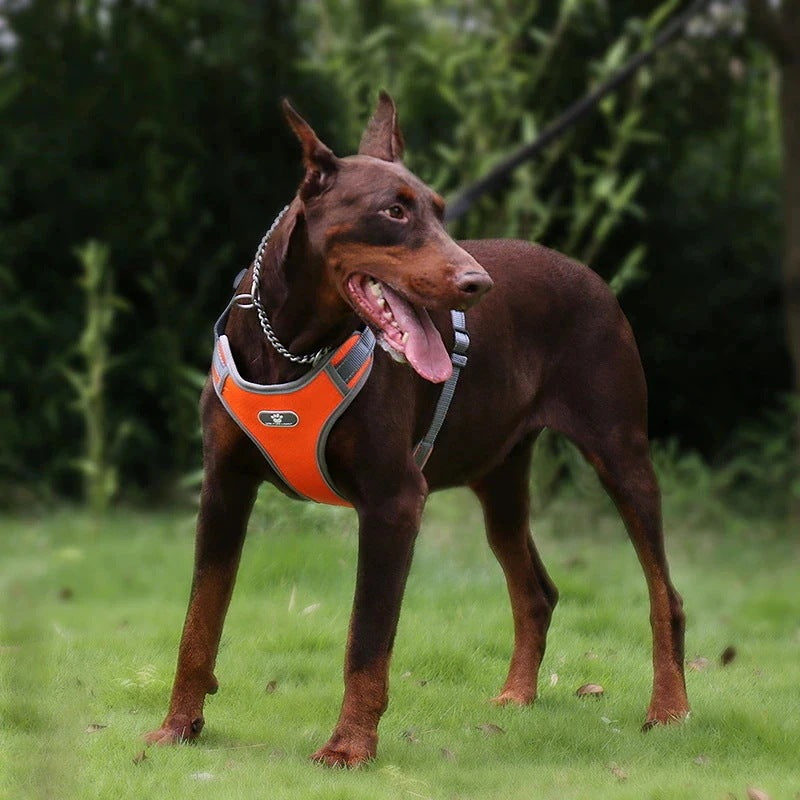 沸騰新柄追加 犬 ハーネス 犬ハーネス 胴輪 犬用ハーネス 犬のハーネス おしゃれ かわいい リード 子犬 小型犬 中型犬 脱げない リードセット 簡単装着 快適 アジャスquma
