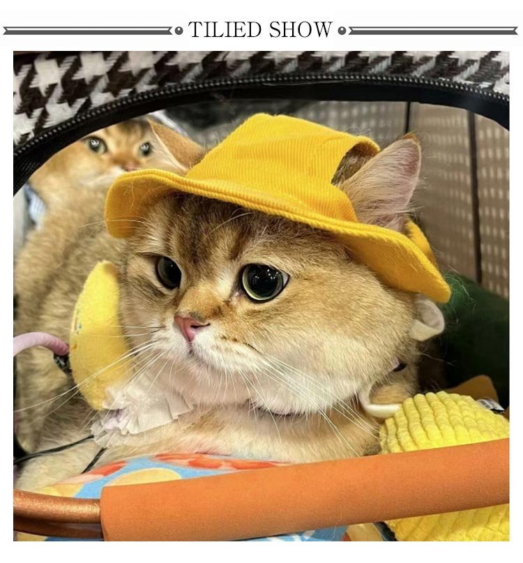 贩売促进 中型犬 帽子 あご紐付き ペットウェア 犬 2点セット ツバ ペット用品 小型犬 日よけ対策 バケットハット ペット服 可愛い ワンちゃん 散歩 犬用帽子 耳出し 耳穴 サイズ調整 猫 お出