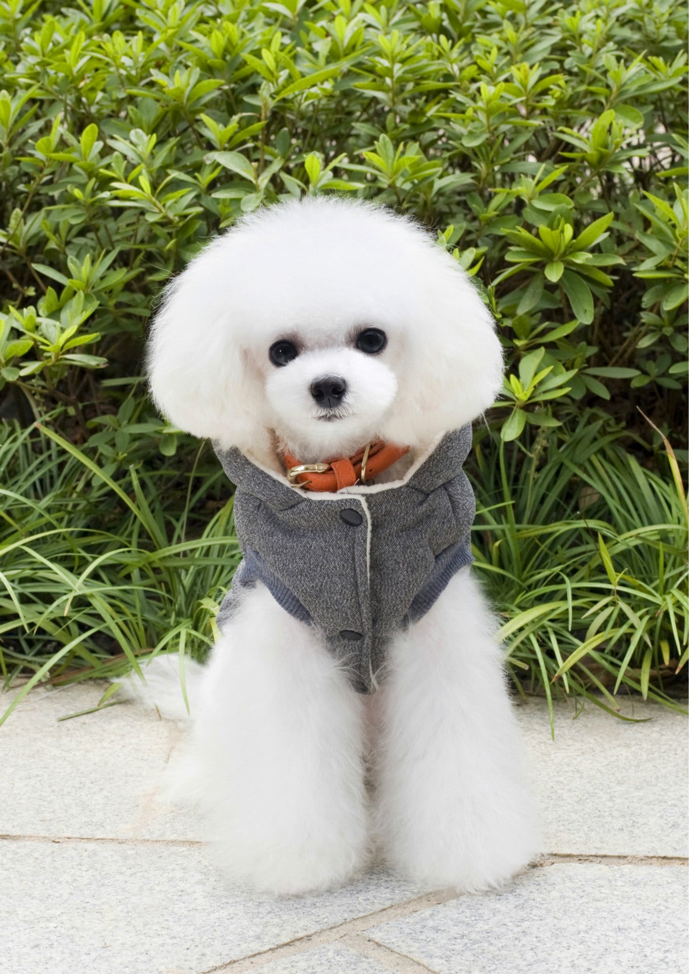 猫 犬 洋服 犬服 ペット服 大中小型犬 ペット用品 犬/猫用 犬の服 ペットウエア 小型犬 中型犬 通気 可愛い ドッグウェア トレーナー 犬 服 ワンピース サロペット ビションフリーゼ 犬猫服