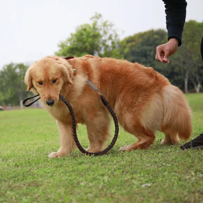 犬 大型犬 ハーネス オシャレ 首輪 リード ペットハーネス 中型犬 大型犬 ハーネスリードセット 2点セット ウェアハーネス 丈夫 犬用 編み風 脱出防止 調整可能 おでかけ シンプル 高品質