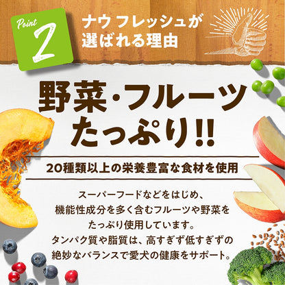 ナウフレッシュ グレインフリー スモールブリード アダルト 2.3kg 小粒 ドッグフード NOW FRESH