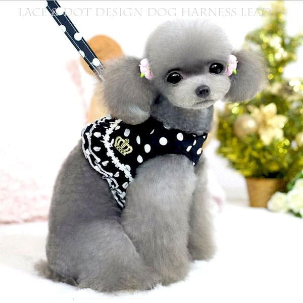 犬 ハーネス 犬ハーネスリードセット 犬のハーネスリードセット 犬用ハーネス おしゃれ リボン 犬 服 犬服 ドレス ワンピース 小型犬 中型犬 脱げない