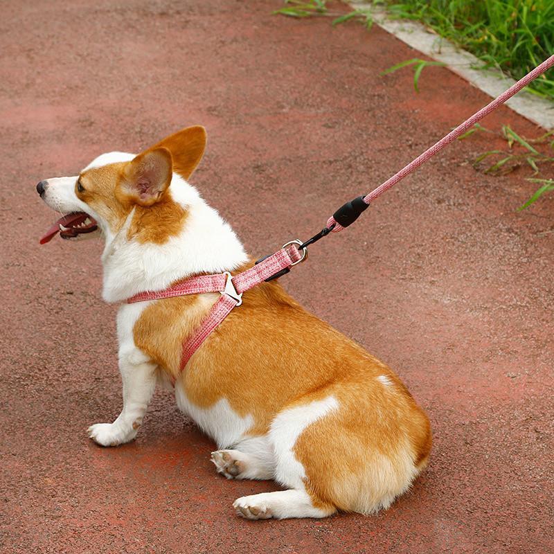 新商品プロモーション，数量限定 犬 ハーネス 安全帯 リード ペット 胴輪 抜けない ドッグ 猫 小型犬 中型犬 大型犬 可愛い 簡単着脱 調節可能 牽引ロープ 散歩 出かけ犬 ハーネス