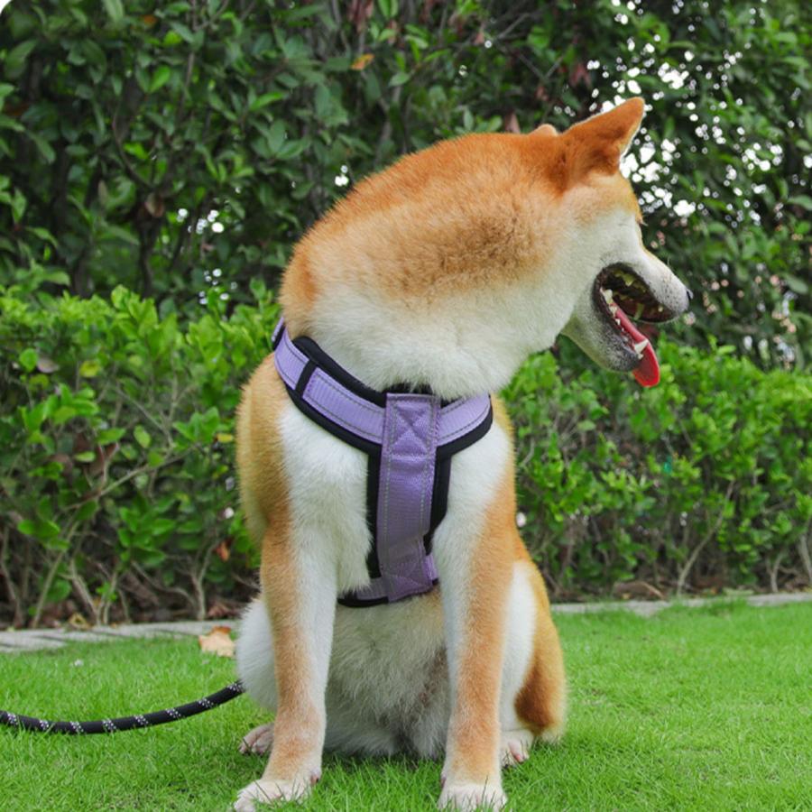 負担の少ない アウトドア 大型犬 ワンタッチタイプS 犬 おしゃれ カラフル 着脱しやすい 小型犬 XL M 胴輪 L ネコポス かわいい 中型犬 ハーネス