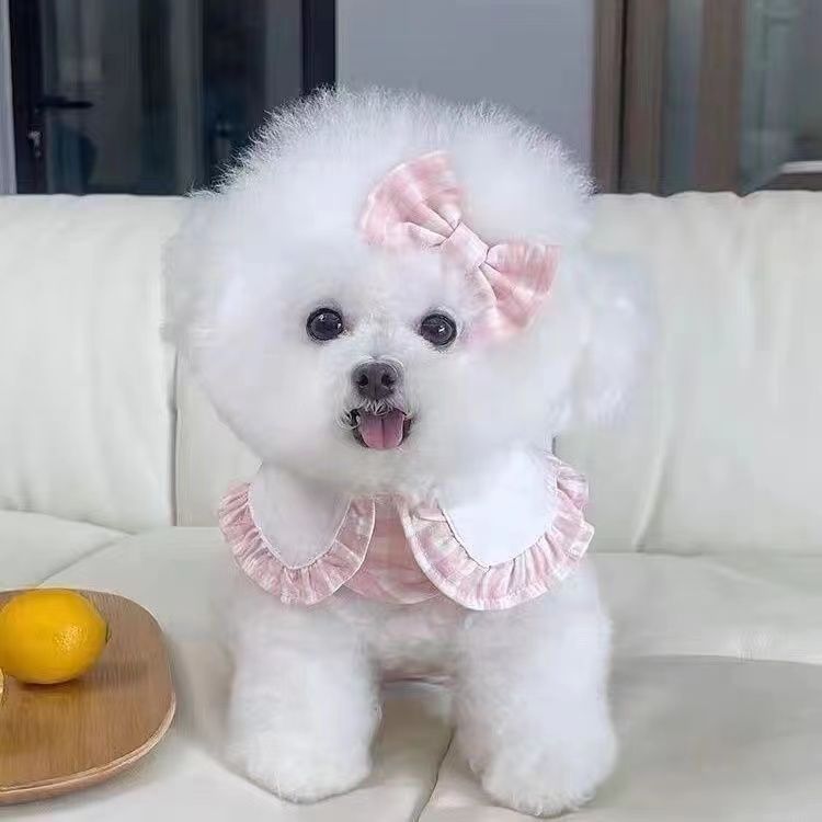 ペット服春と秋の新型通気性の魔法は牽引ロープのテディを貼って熊の犬の猫より薄いタイプの胸に外出します