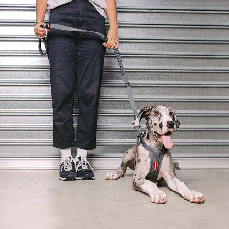 【人気商品】EZ リード ゼロショック 120cm EZYDOG