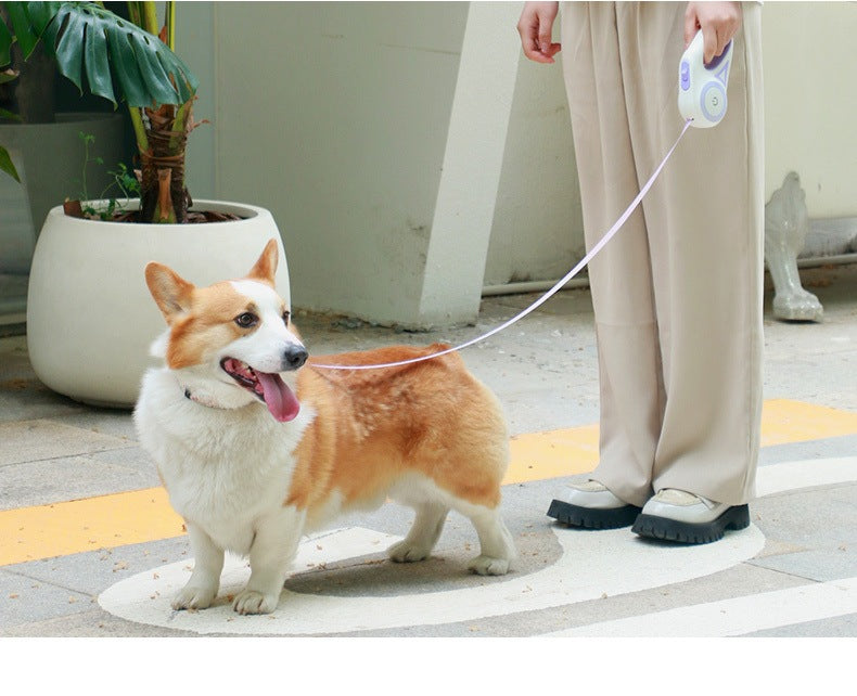 犬用リード 伸縮 犬 リード 光る 3m ワンタッチ伸縮 夜に光る 散歩 小型犬 中型犬 軽量 簡単 イヌ いぬ