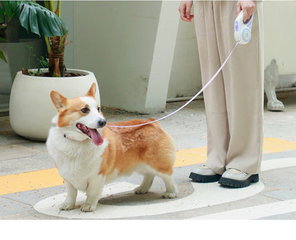 犬用リード 伸縮 犬 リード 光る 3m ワンタッチ伸縮 夜に光る 散歩 小型犬 中型犬 軽量 簡単 イヌ いぬ