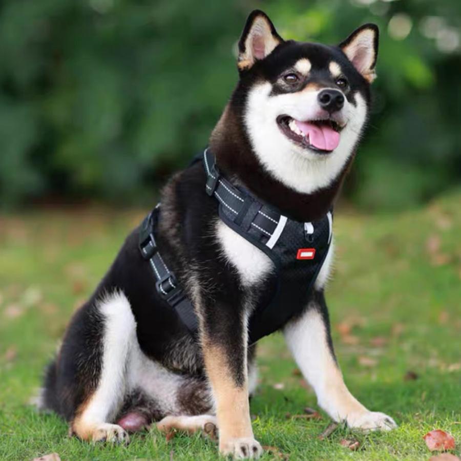 ステップハーネス ロック 大型犬 抜けない M 介護用 柴犬 小型犬 抜けにくい 犬 XS ハーネス ハンドル付き 中型犬 ウェアハーネス S L 負担の少ない