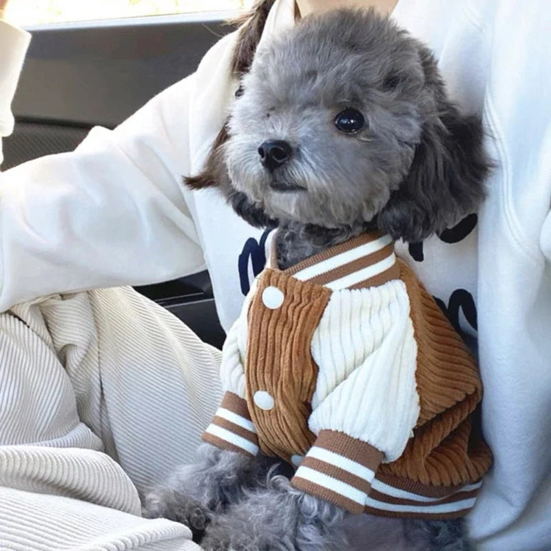 ペット服 犬の服 犬猫服 野球服 ジャケット テディビーベア ヨークシャー 小中型犬 服 快適 ペット用品 犬用品 散歩 防寒 秋冬服