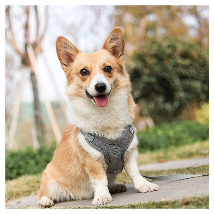 犬具 ハーネスリードセット 小型犬 ドッグ メッシュ ハーネスリード dog ベスト型 胴輪 犬用