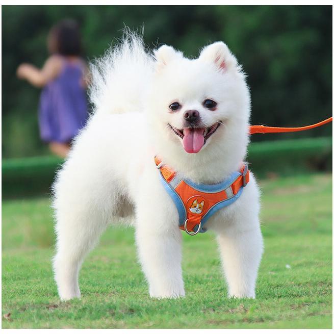中型犬 簡単装着 犬 犬の 胴輪 小型犬 かわいい 脱げない 犬用 おしゃれ 大型犬 リード ハーネス