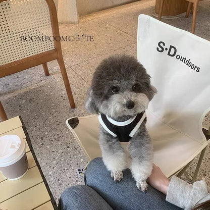 春夏新作 犬服 ペット服 犬 洋服 ペット 犬用品 小中型犬 かわいいクマ犬ベスト春夏薄断面通気性服小型犬ベスト