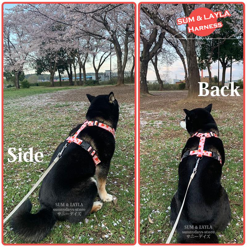 通気性 老犬 犬ハーネス 柴犬 犬 胴輪 に優しい 夏色 メッシュ H型 おしゃれ 体温調節 犬用 快適 犬 反射材 抜け防止 痛くない ハーネス ソフト 引っ張り子