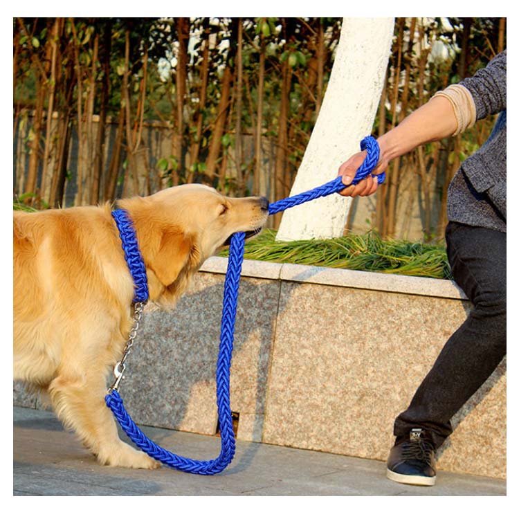 リード 首輪 2点セット 犬 首輪セット リードセット 小型犬 中型犬 大型犬 太く 頑丈 犬用リード 散歩 お出かけ しつけ ペット 極太 編み紐 噛み癖 防止 ドッググッズ ペット用 お
