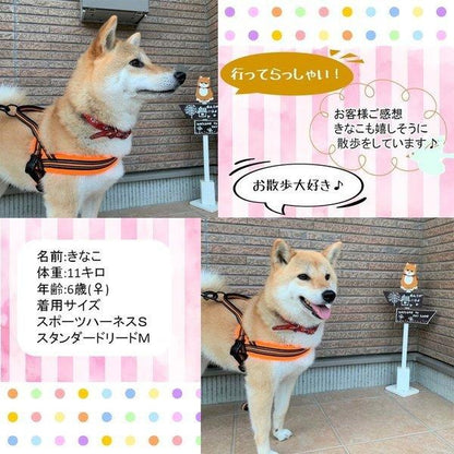 犬 ハーネス 犬用 ハーネス Truelove ブランド 胴輪 ソフトパッド 簡単装着 快適 スポーツハーネス 超大型犬 大型犬 小型犬
