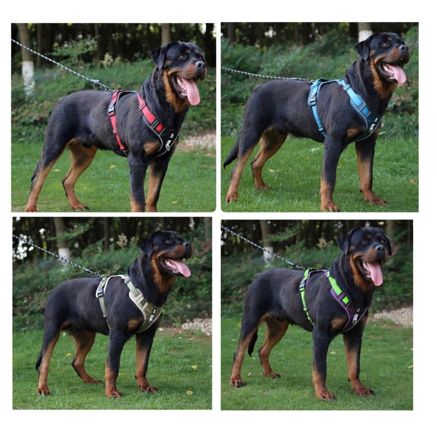 犬　犬用　ハーネス　おしゃれ　丈夫　ドッグハーネス　小型犬　中型犬　大型犬　犬ハーネス　リード付き　メッシュ　胴輪　散歩　介護犬