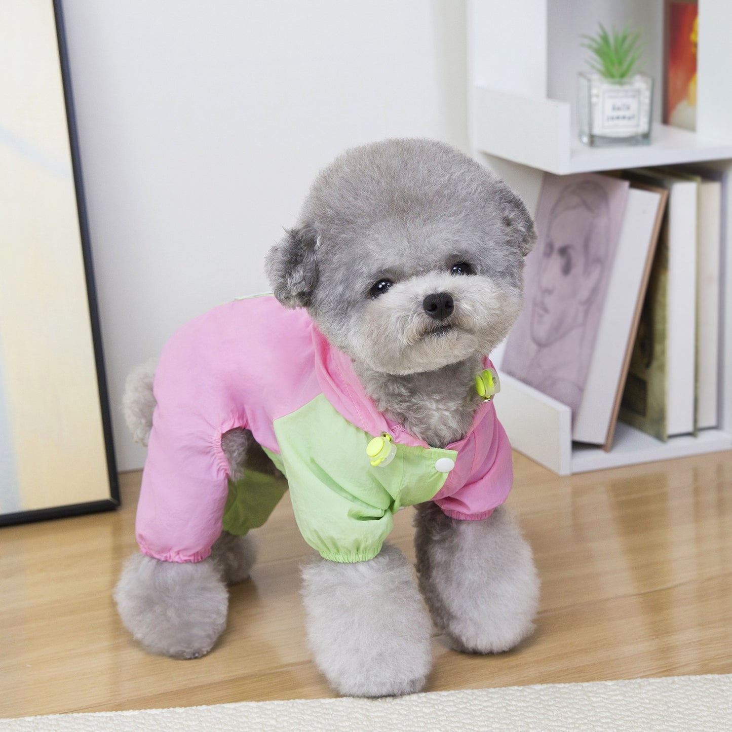 猫 犬 洋服 犬服 ペット服 大中小型犬 ペット用品 犬/猫用 犬の服 ペットウエア 小型犬 中型犬 通気 可愛い ドッグウェア トレーナー 犬 服 ワンピース サロペット ビションフリーゼ 犬猫服