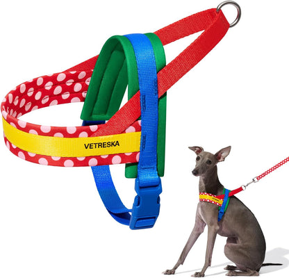 ベトレスカ ハーネス CHROMA ハーネスリード リュックセット 可愛い 犬用散歩 トレーニング用 調節可能 咳き込み軽減 簡単なコントロール 抜けない 通気性 簡単着脱 おしゃれ 柔らかなパッド