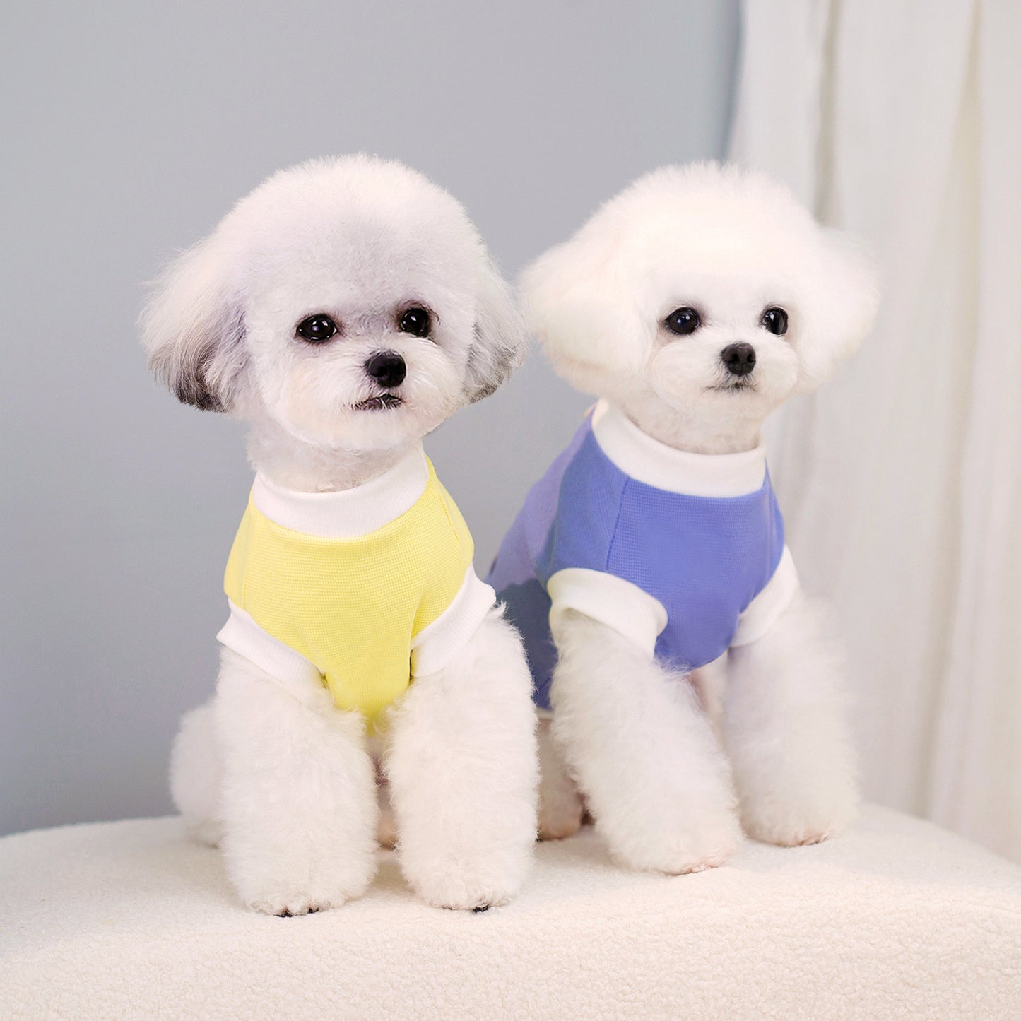 猫 犬 洋服 犬服 ペット服 大中小型犬 ペット用品 犬/猫用 犬の服 ペットウエア 小型犬 中型犬 通気 可愛い ドッグウェア トレーナー 犬 服 ワンピース サロペット ビションフリーゼ 犬猫服