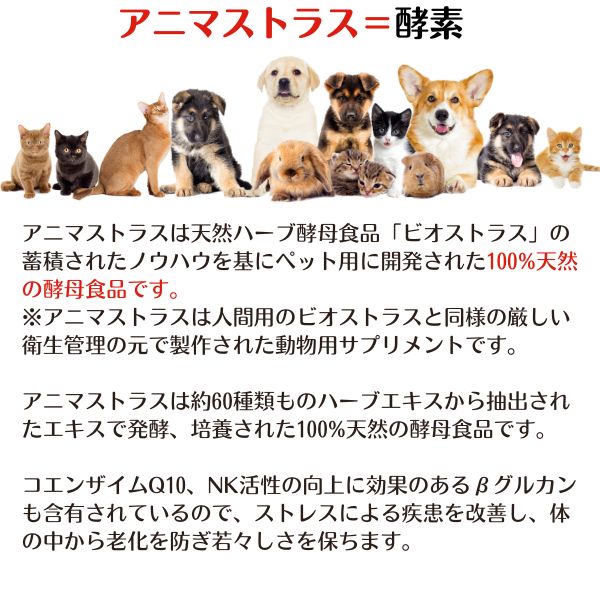 アニマストラス 100g（顆粒）犬 猫 ペット サプリ 動物用サプリメント ペット 抜け毛 サプリ 犬 サプリメント 免疫力 ストレス 犬 サプリメント 消化酵素 AnimaStrath
