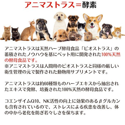 アニマストラス 100g（顆粒）犬 猫 ペット サプリ 動物用サプリメント ペット 抜け毛 サプリ 犬 サプリメント 免疫力 ストレス 犬 サプリメント 消化酵素 AnimaStrath